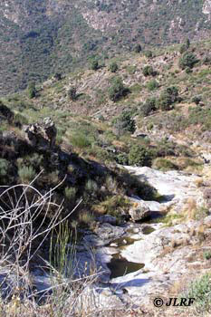 Arroyo de Cebrón y de la Fuente Herrera