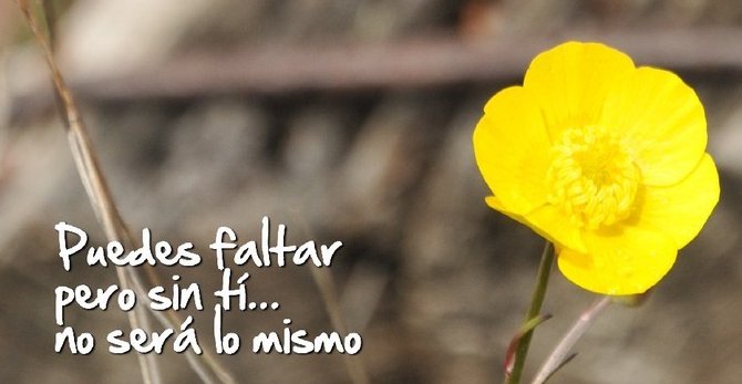 Noticia1