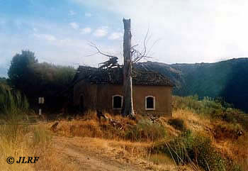 Casilla del Ro