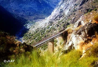 Puente Poyo Rubio 2