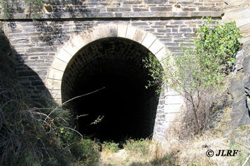 Tnel 20