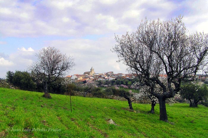 fregeneda_desde_cruz de canto