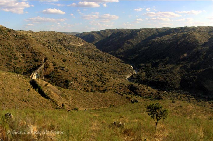 puente_arroyo_lugar_05.jpg