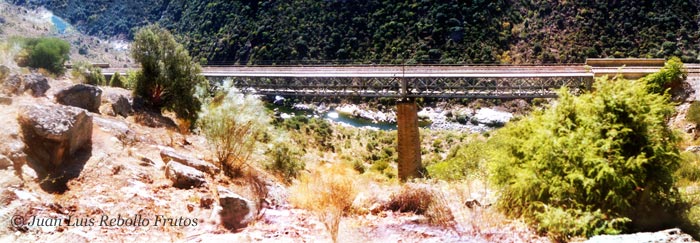 puente_morgados_2.jpg