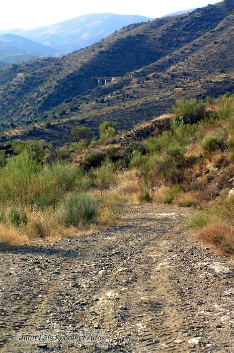 puente_riscos_camino_rio.jpg